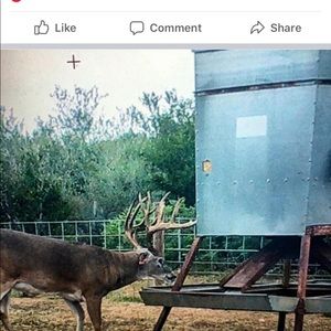 Meet your Posher, Patrick